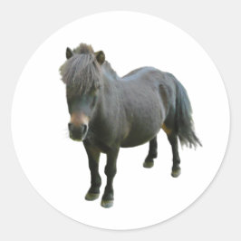 Schattigee Dartmoor Pony Ronde Sticker