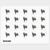 Schattigee Dartmoor Pony Ronde Sticker (Vel)