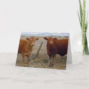 Schattigee dierenarts Afstuderen Gefeliciteerd Ran Kaart