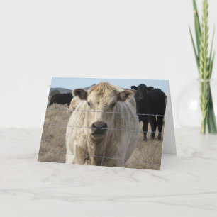 Schattigee Dierenarts Gefeliciteerd Ranch Boerderi Kaart