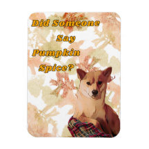 Schattigee Dog Pumpkin Spice Magnets