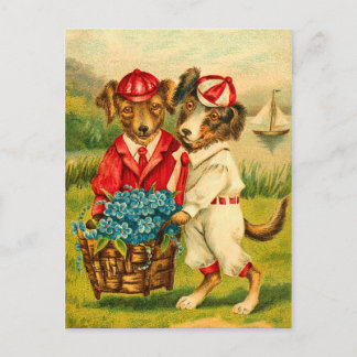 Schattigee  Dogs Briefkaart