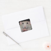 Schattigee Dumbo Rat Stickers (Envelop)