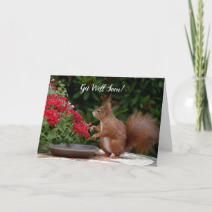 Schattigee Eekhoorn Custom Get Well Wenskaart Kaart