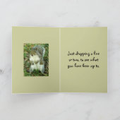 Schattigee eekhoorn, denkt aan jou kaart (Binnen)