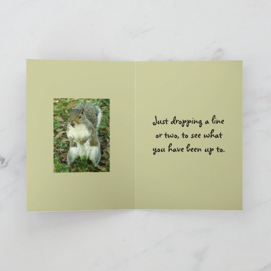 Schattigee eekhoorn, denkt aan jou kaart (Binnen)