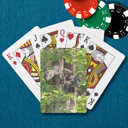 Schattigee eekhoorn familie in de lente Natuur Fot Pokerkaarten