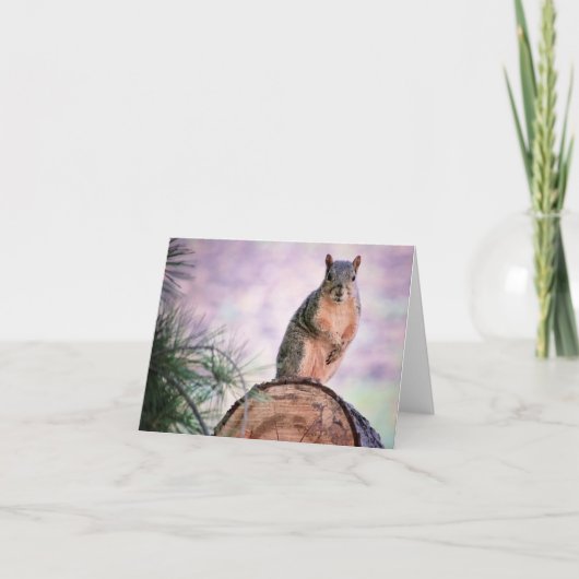 Schattigee eekhoorn ooit opgemerkt Kaart (Voorkant)