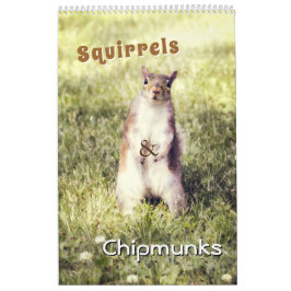Schattigee Eekhoorns En Chipmunks Grappige Dierenf Kalender