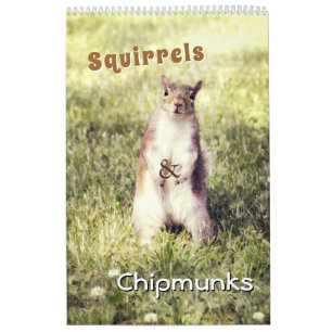 Schattigee Eekhoorns En Chipmunks Grappige Dierenf Kalender