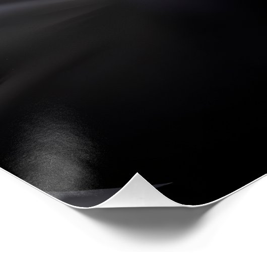 Schattigee eend. perfect poster (Hoek)