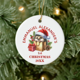 Schattigee egel eerste kerst gepersonaliseerd keramisch ornament