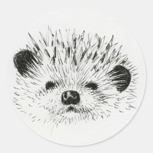Schattigee egel tekening ronde sticker (Voorkant)