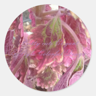  Schattigee Elegante & Stijl Kleurrijke Ronde Stic Ronde Sticker