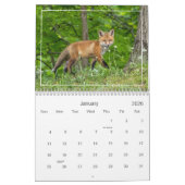 Schattigee en grappige rode vossen kalender (Jan 2026)
