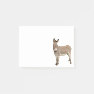 Schattigee ezel burro foto post-it® notes