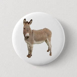 Schattigee ezel burro foto ronde button 5,7 cm