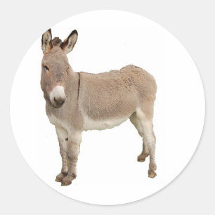 Schattigee ezel burro foto ronde sticker