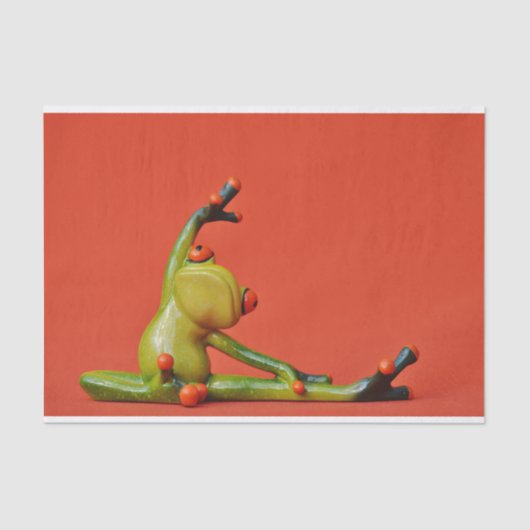 Schattigee Fanny Frog Tissuepapier (Voorkant)