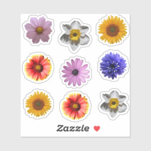 Schattigee Flower Photo Cutouts Sticker Set