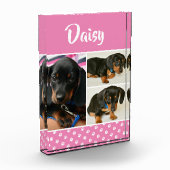 Schattigee Fotocollage Pet Dog Naam Fotoblokken (Links)