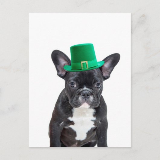 Schattigee Franse Bulldog met Pet St. Patrick's Da Briefkaart (Voorkant)
