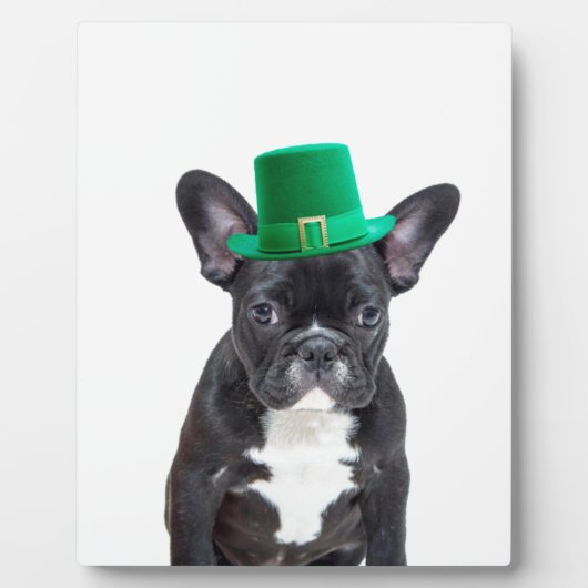 Schattigee Franse Bulldog met Pet St. Patrick's Da Fotoplaat (Voorkant)