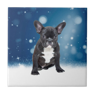 Schattigee Franse Bulldog Snow Stars Blue Christma Tegeltje