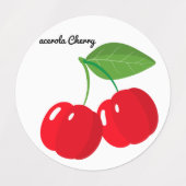 Schattigee Fruit Stickers Fun Design School Labels (Design 1)