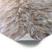 Schattigee Furry Fox op Blue Grunge Achtergrond Poster (Hoek)