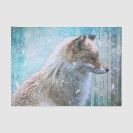 Schattigee Furry Fox op Blue Grunge Achtergrond Tissuepapier (Voorkant)
