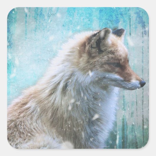 Schattigee Furry Fox op Blue Grunge Achtergrond Vierkante Sticker (Voorkant)