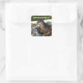 Schattigee geelbuikige Marmot Wildlife Sticker (Tas)
