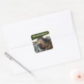 Schattigee geelbuikige Marmot Wildlife Sticker (Envelop)