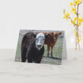 Schattigee Gefeliciteerd Vet Afstuderen - Ranch Bo Kaart (Gele Bloem)