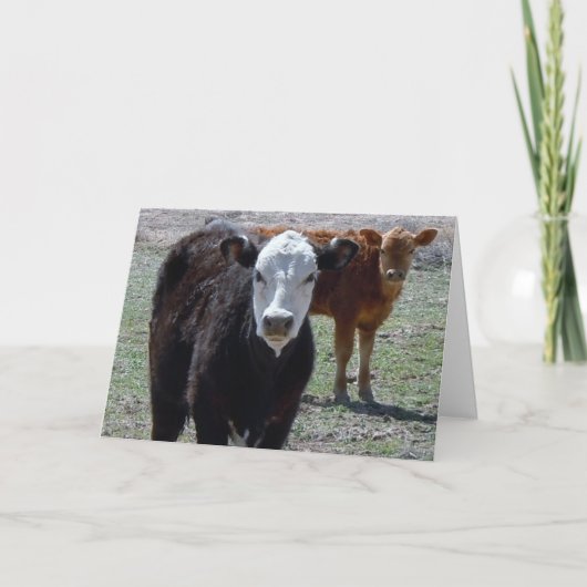 Schattigee Gefeliciteerd Vet Afstuderen - Ranch Bo Kaart (Voorkant)