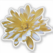 Schattigee gele florale gele Daisy Sticker (Voorkant)