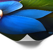 Schattigee Ginger Kitten in Tropical Paradise Fant Poster (Hoek)