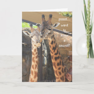 Schattigee Giraffe Over-the-Hill Verjaardag Kaart