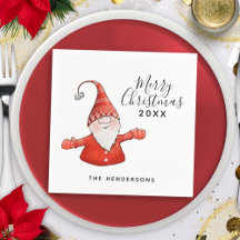 Schattigee gnoom in rood vrolijk kerstfeest