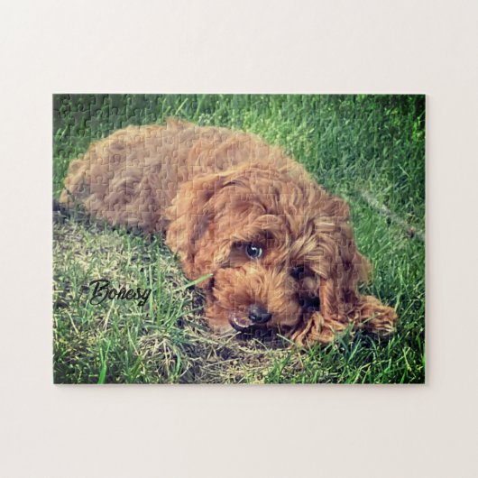 Schattigee Golden Doodle Jigsaw Puzzel (Horizontaal)