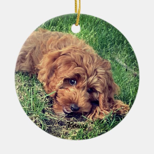 Schattigee Golden Doodle Keramisch Ornament (Voorkant)
