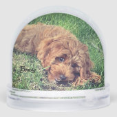 Schattigee Golden Doodle Sneeuwbol (Achterkant)