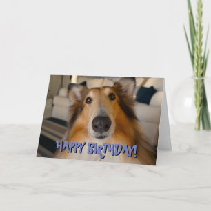 Schattigee grappige collie verjaardagskaart kaart