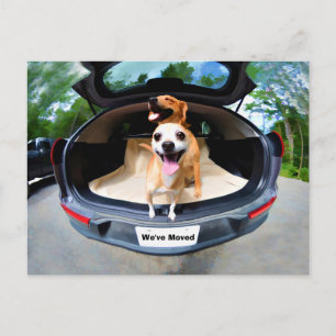 Schattigee grappige honden gaan voor autorit verhu briefkaart
