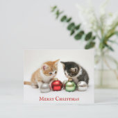 Schattigee grappige vrolijke kerst kitten kat briefkaart (Staand voorkant)