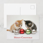 Schattigee grappige vrolijke kerst kitten kat briefkaart (Voorkant / Achterkant)