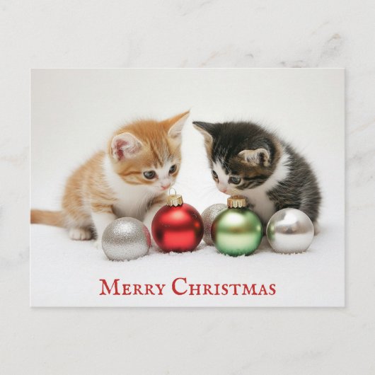 Schattigee grappige vrolijke kerst kitten kat briefkaart (Voorkant)