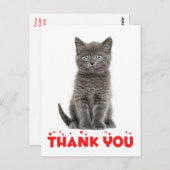 Schattigee Grey Kitten Bedankt Cat Briefkaart (Voorkant / Achterkant)