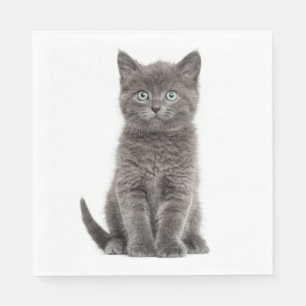 Schattigee Grey Kitten Grey Kitty Cat Party Servet